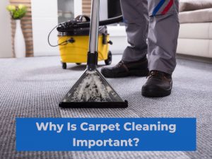 Why is carpet cleaning important